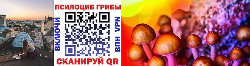 как найти   Полтавская  Галлюциногенные грибы прущие грибы 